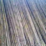 musica_04