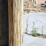 natural_01